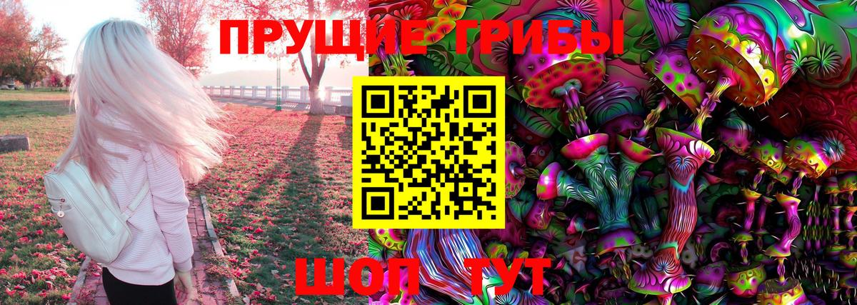 купить  цена  Галлюциногенные грибы прущие грибы  Галлюциногенные грибы GOLDEN TEACHER  Вход с VPN  Славгород 